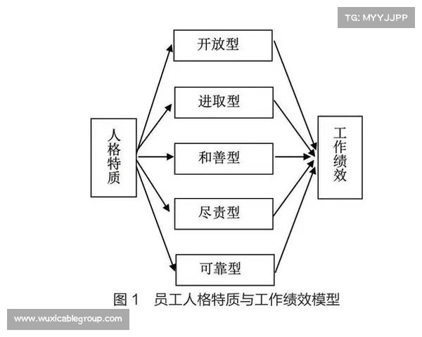 足球转会市场风险评估体系构建与应对策略分析 足球转会市场风险评估体系构建与应对策略分析