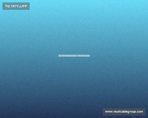 足总杯冠军近十年称霸社区盾赛场 八次捧杯成为杯赛之王