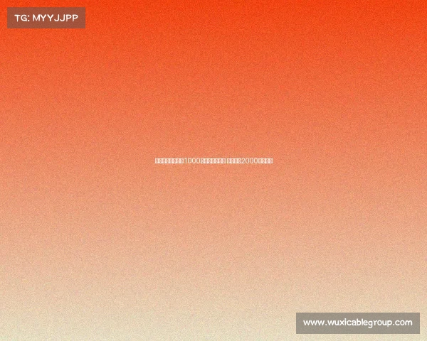 那不勒斯首次报价1000万欧求购米雷蒂 尤文坚持2000万欧标价