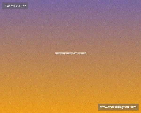 巴黎向舍瓦利耶报价 里尔要求至少4000万欧元转会费