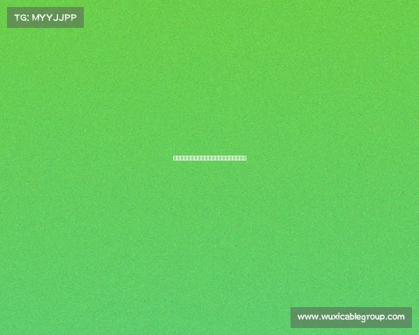 拜仁收集雅克松信息并不意味着必然签约其球员