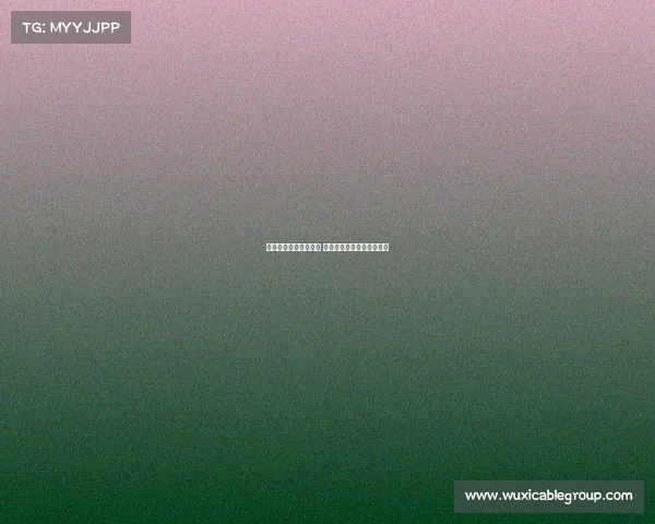 罗马诺：米兰欲留佳夫 除非收到远超市场价的报价