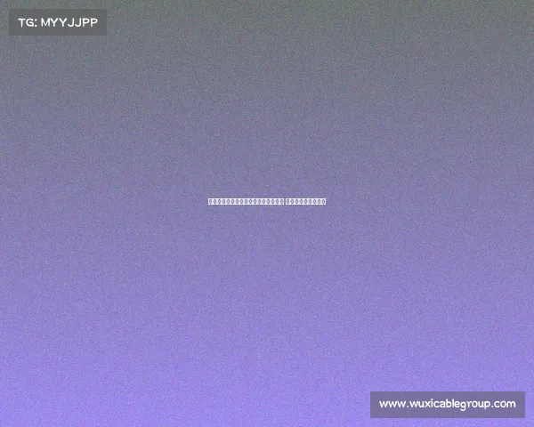 阿联酋媒体：塔雷米拒绝迪拜祈祷报价 多家俱乐部仍在观望