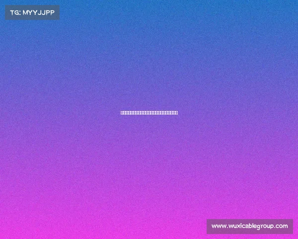 法国足球甲级联赛:新赛季豪门对决与崭新挑战解析 法国足球甲级联赛:新赛季豪门对决与崭新挑战解析