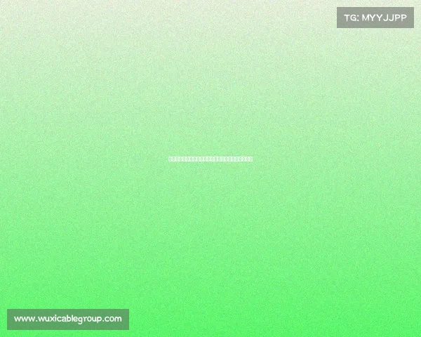 高尔夫球鞋的选择与保养技巧提升球场表现的必备装备