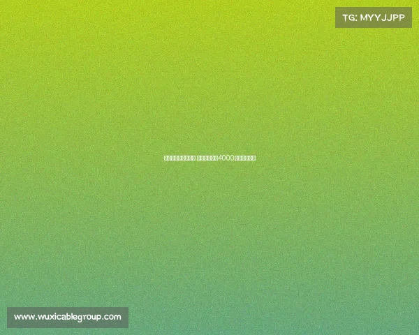 巴黎向舍瓦利耶报价 里尔要求至少4000万欧元转会费