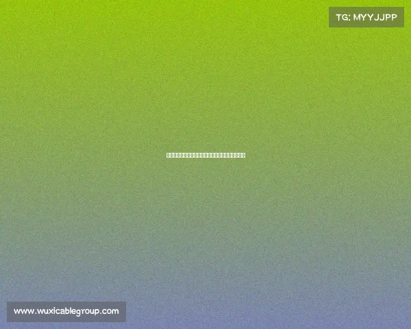 那不勒斯即将签下赫罗纳边后卫古铁雷斯展开新计划