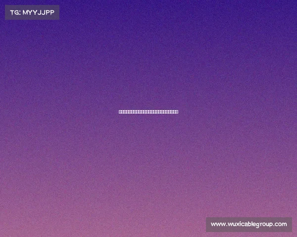 首尔球员黄度允:期待与德容佩德里过招展示自我球技