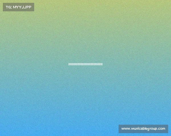 阿斯拉尼拒绝国外俱乐部报价坚决留守意大利继续效力