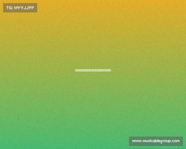 前曼城女足主帅加雷思泰勒接任利物浦女足主帅一职 前曼城女足主帅加雷思泰勒接任利物浦女足主帅一职