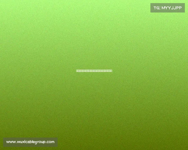 前曼城女足主帅加雷思泰勒接任利物浦女足主帅一职