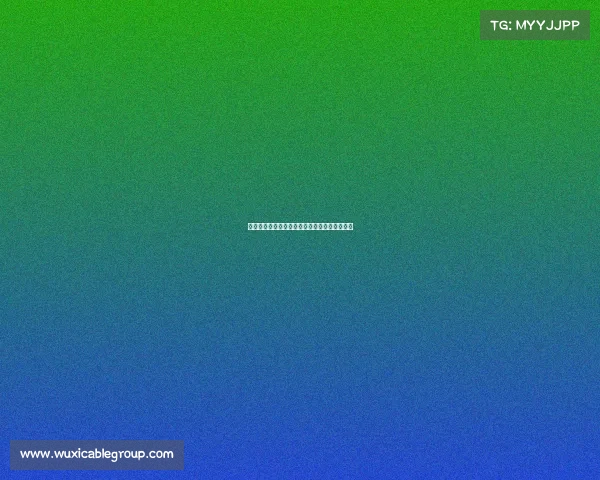 拜仁收集雅克松信息并不意味着必然签约其球员