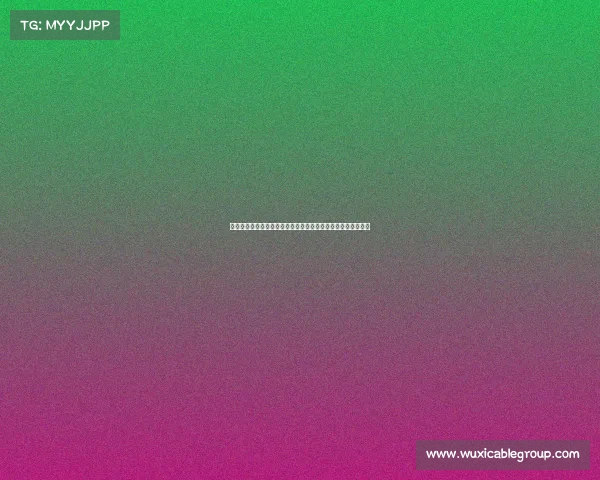 米兰考虑将佳夫本纳塞尔等球员加入弗拉霍维奇交易以加强阵容