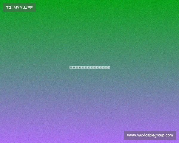 德媒：帕利尼亚离队后戴伯尔或将获得更多机会担任中场核心