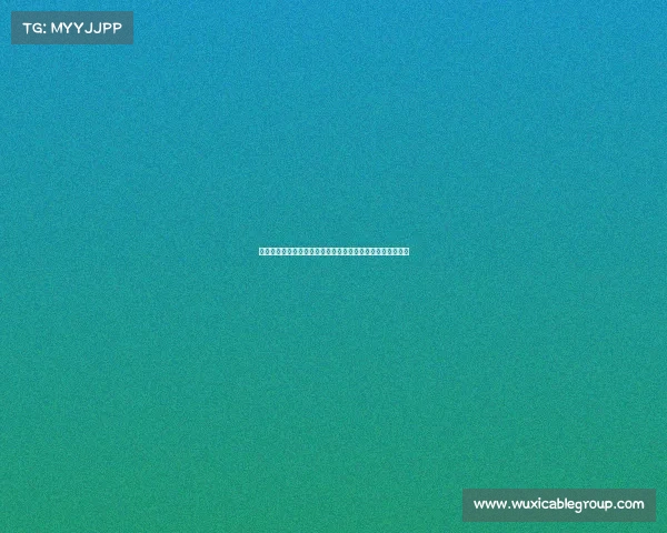 德媒：帕利尼亚离队后戴伯尔或将获得更多机会担任中场核心