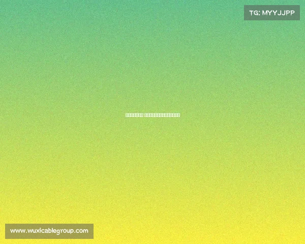 纽卡寻前锋遇阻 若无理想报价将继续留住伊萨克