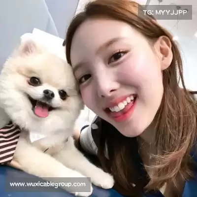 巫莺